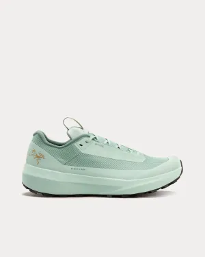 Norvan LD 4 GTX Stone Green / Stone Green Running Shoes