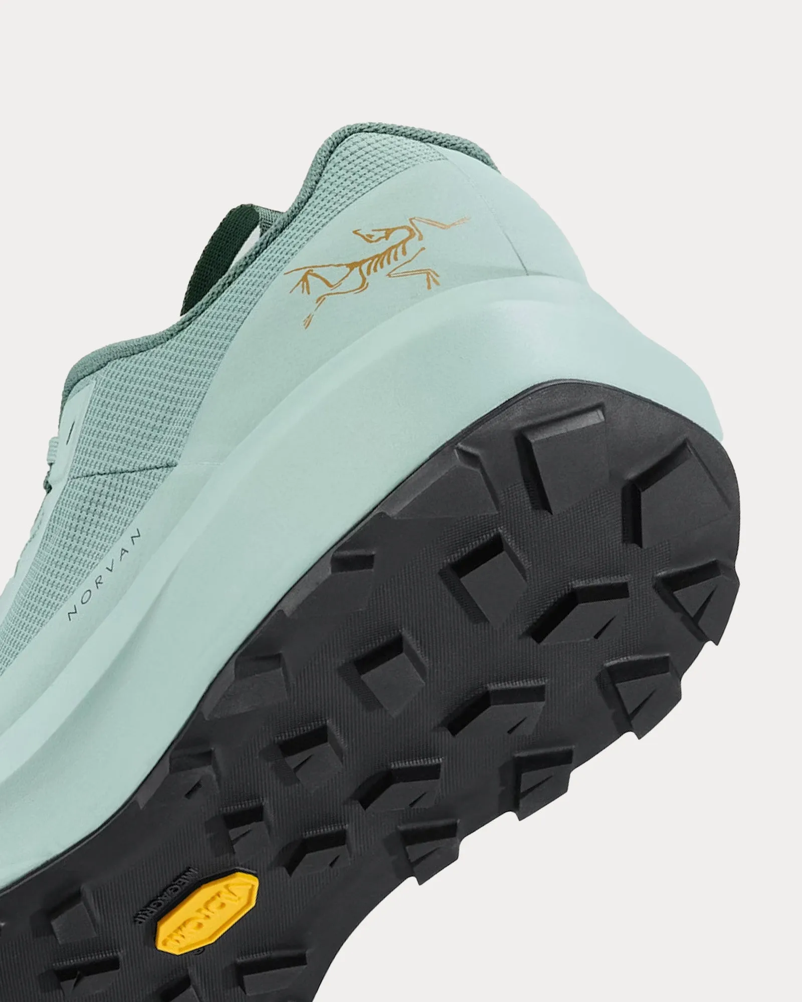 Norvan LD 4 GTX Stone Green / Stone Green Running Shoes