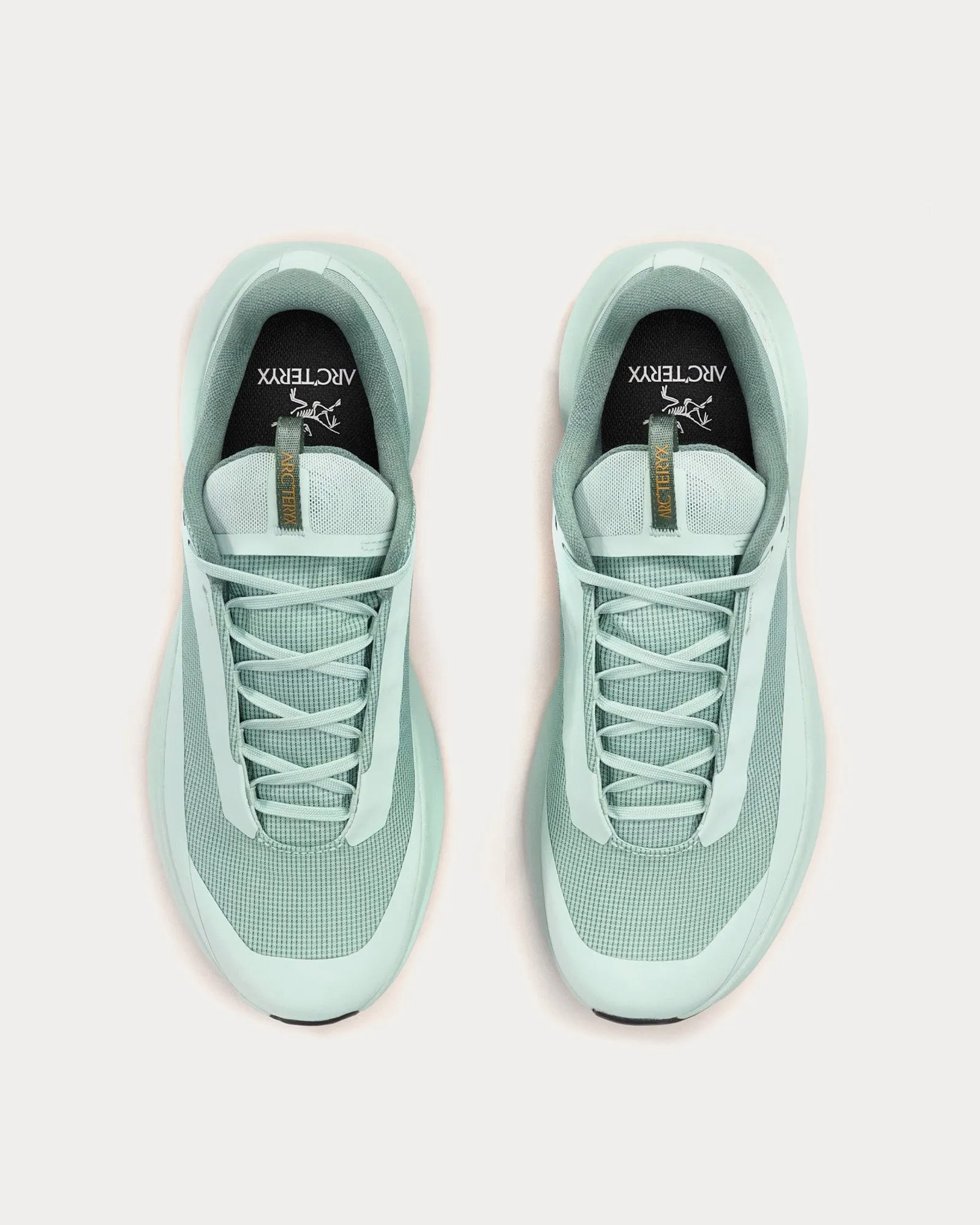 Norvan LD 4 GTX Stone Green / Stone Green Running Shoes