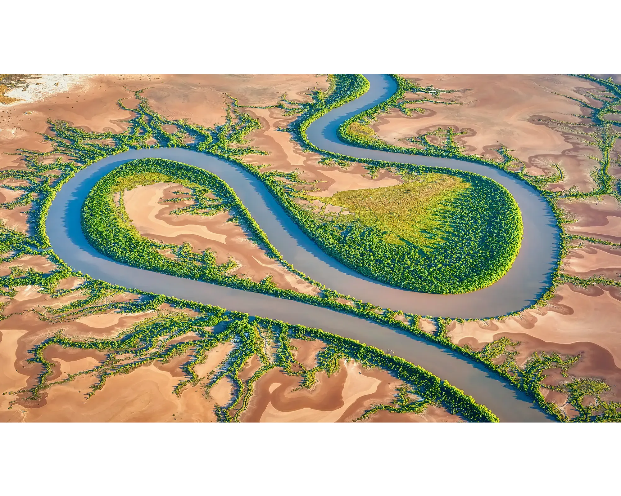 SERPENT. Wall Art