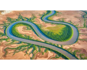 SERPENT. Wall Art