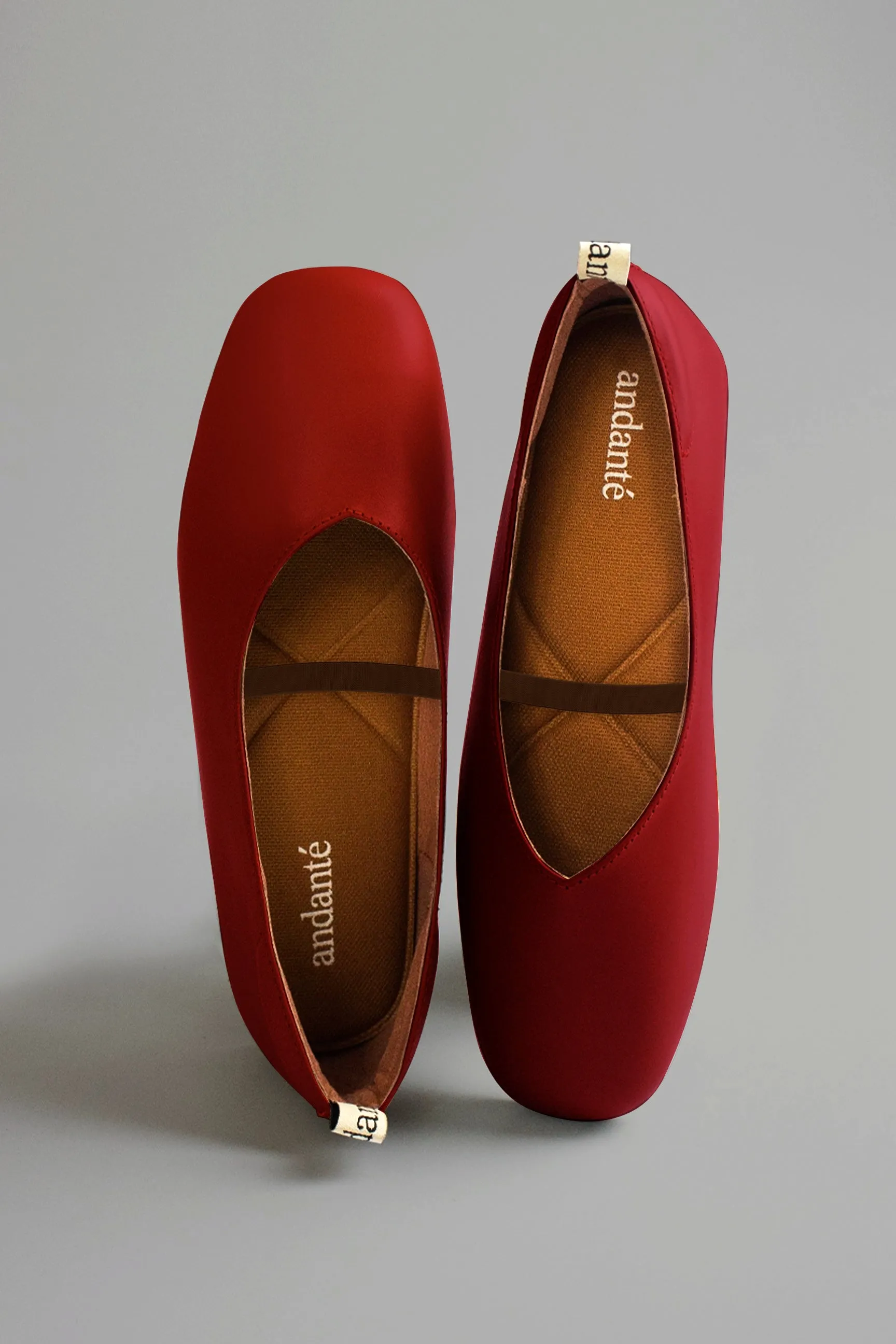 The Ballerine Flat in Cherry (with garter strap)